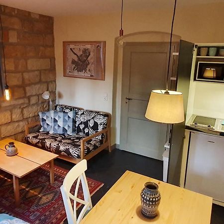 Villa Haniel Apartment Leo 德累斯顿 外观 照片