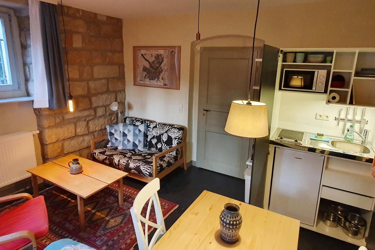 Villa Haniel Apartment Leo 德累斯顿 外观 照片
