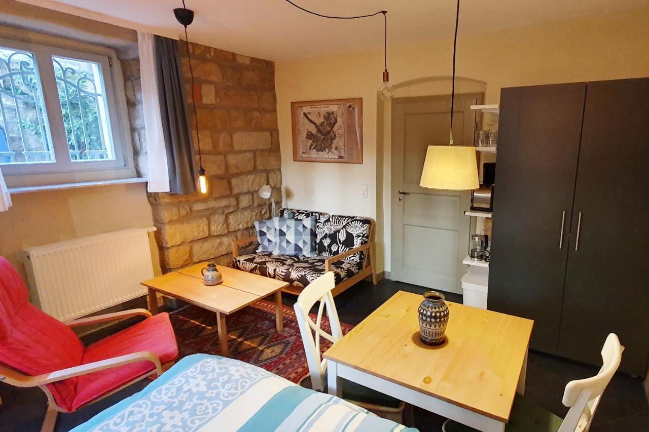 Villa Haniel Apartment Leo 德累斯顿 外观 照片