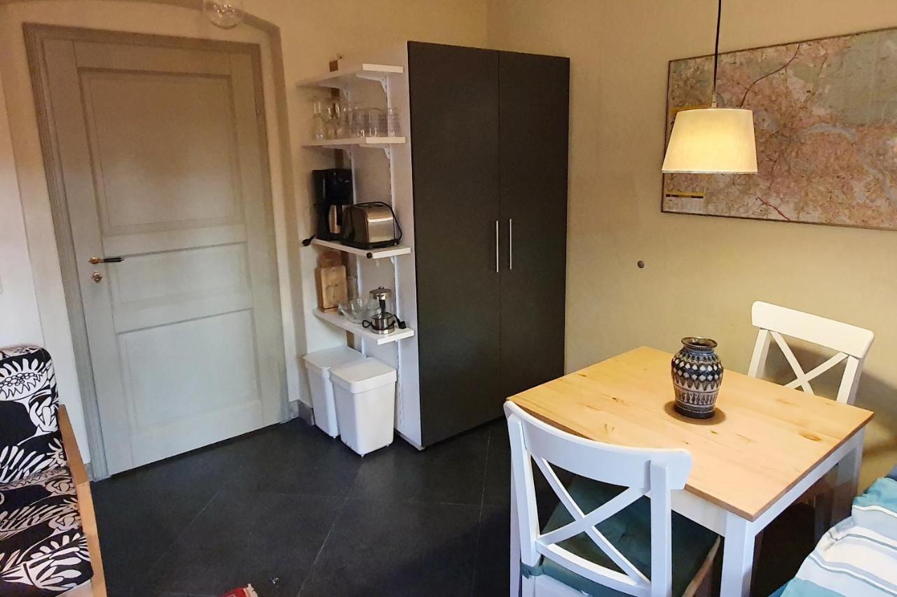 Villa Haniel Apartment Leo 德累斯顿 外观 照片
