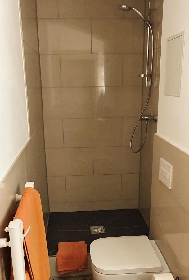 Villa Haniel Apartment Leo 德累斯顿 外观 照片