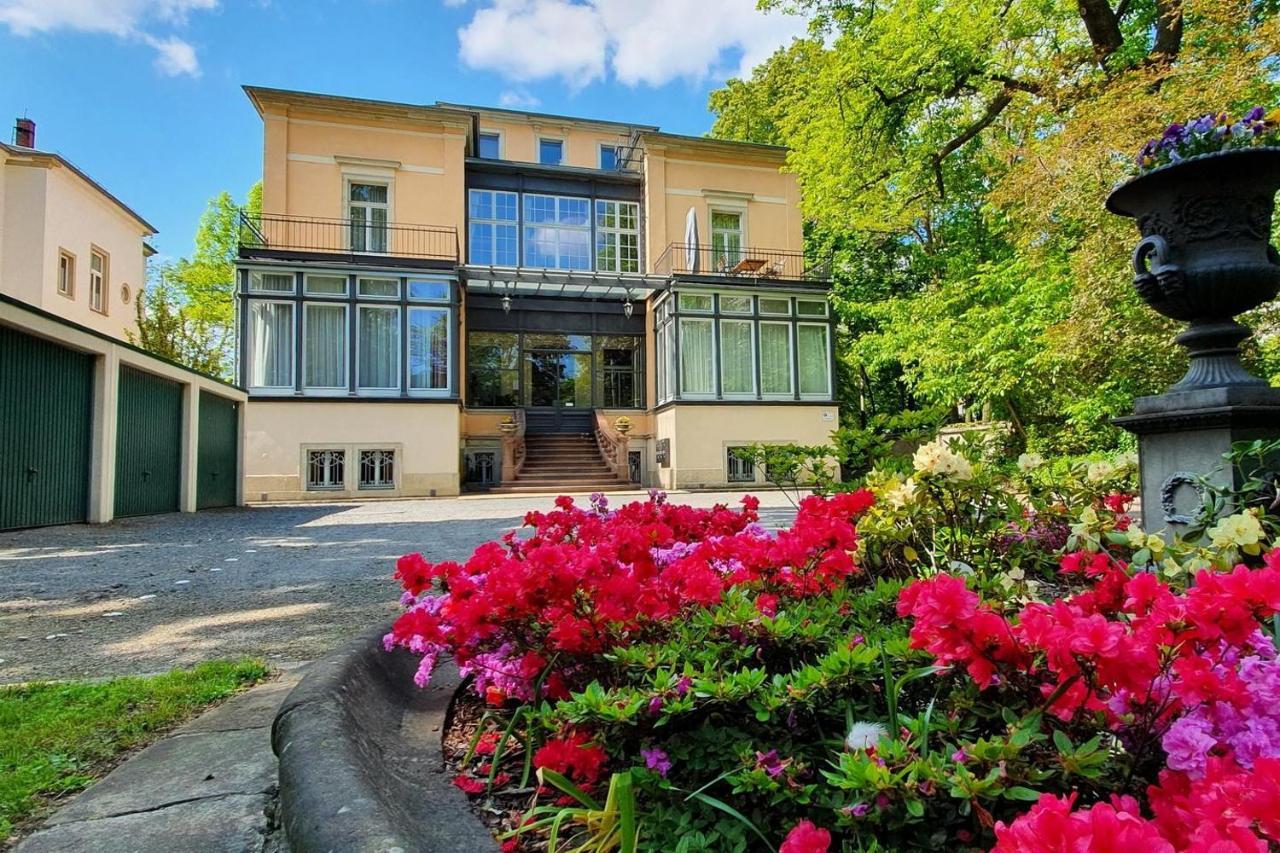 Villa Haniel Apartment Leo 德累斯顿 外观 照片