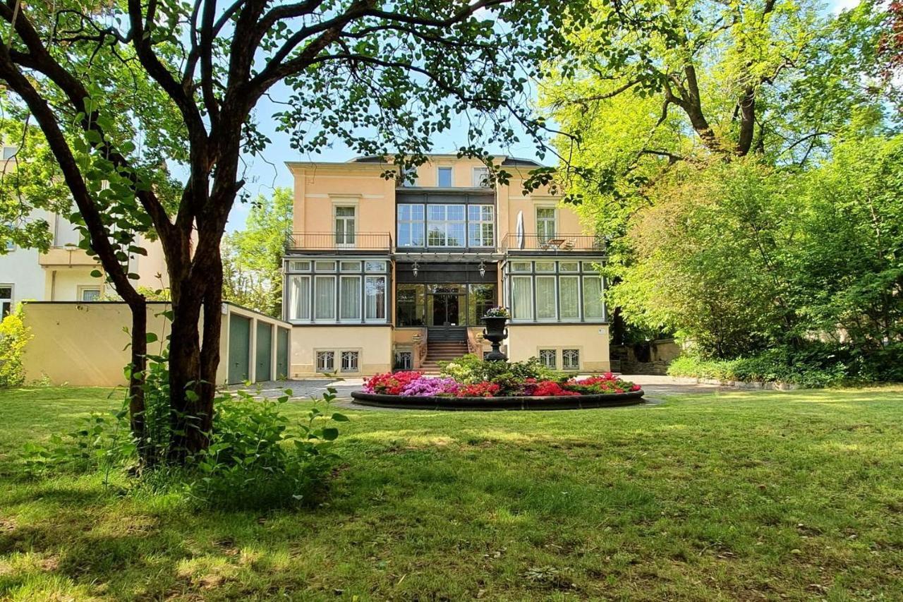 Villa Haniel Apartment Leo 德累斯顿 外观 照片